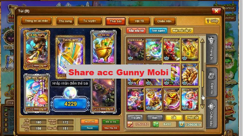 Share acc Gunny Mobi